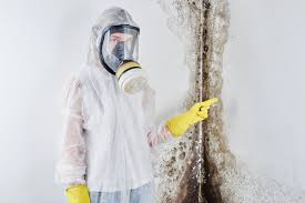 Mold Remediation for Vacation Homes in Prestonsburg, KY